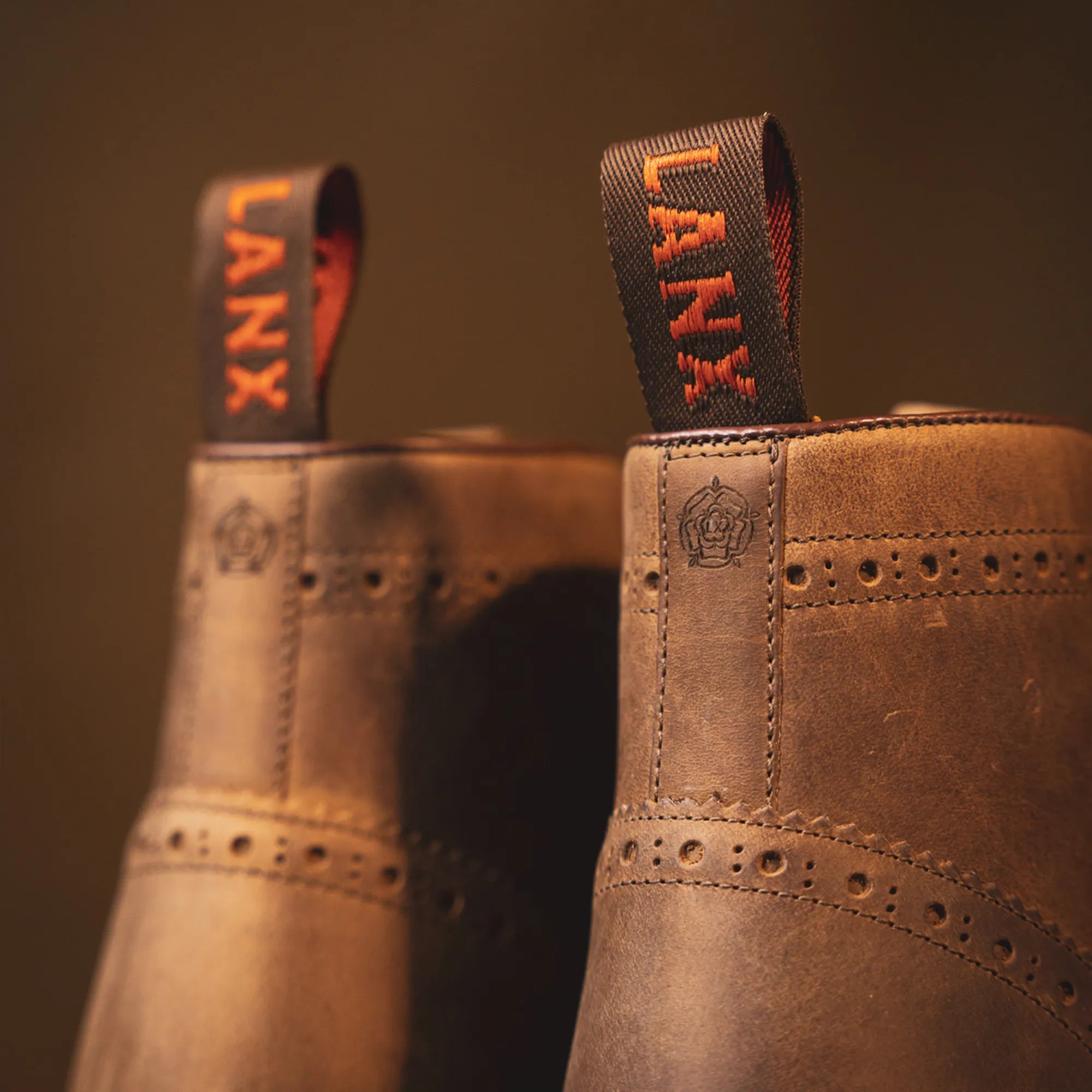 BAYLEY // ACACIA DISTRESSED